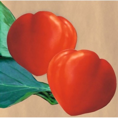 Tomate INIMĂ DE BOU 5 gr